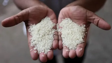 Rice.ruters.jpg-1.webp