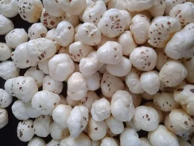 makhana_mithila.jpg.webp