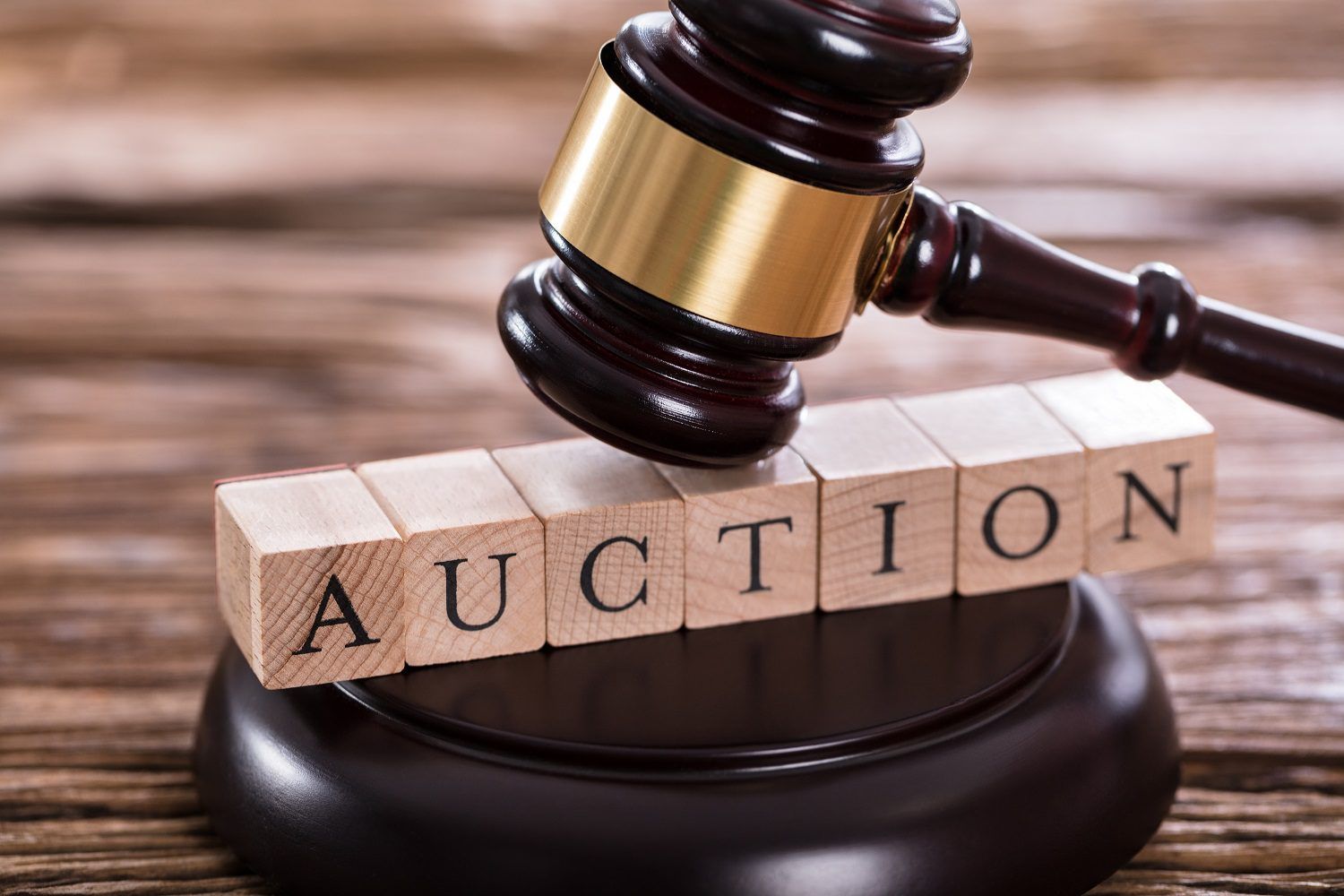5-Auction-Tips-for-Beginners2.jpg
